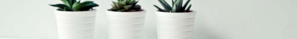 des agences avec des valeurs humaines membre de location 37 pour louer sur Chambray les Tours 37170